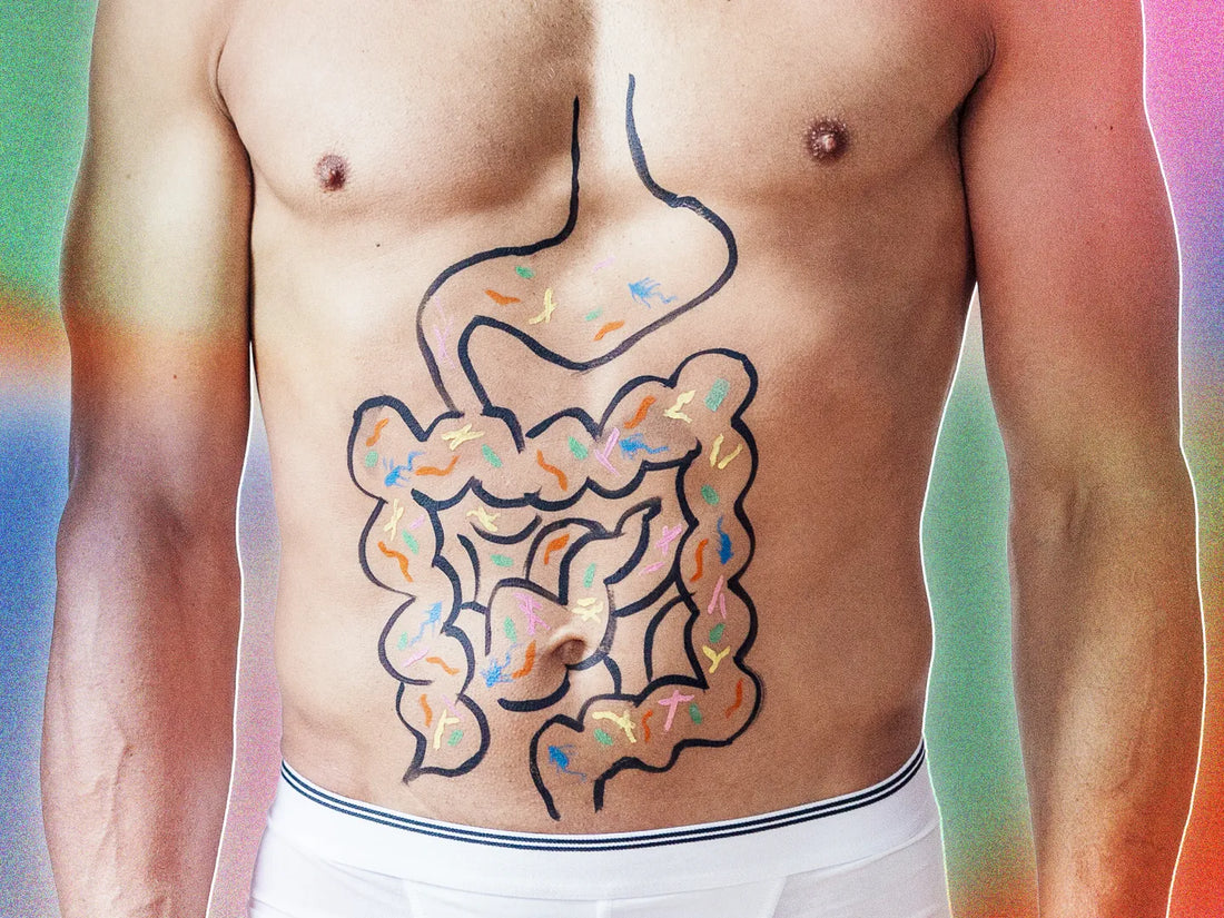 Gut Health and Probiotics: Everything You Need to Know